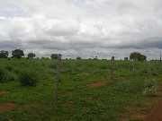 Arrendo fazenda para o plantio de soja